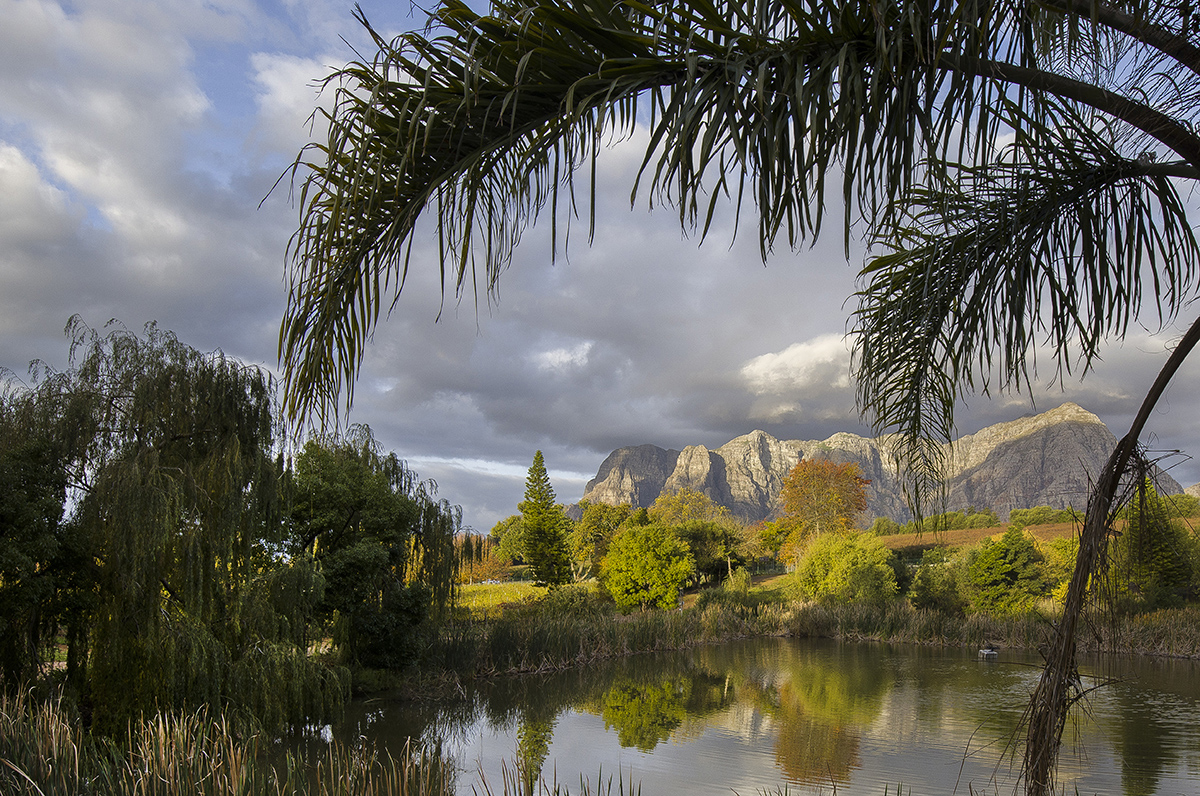Landscape 21